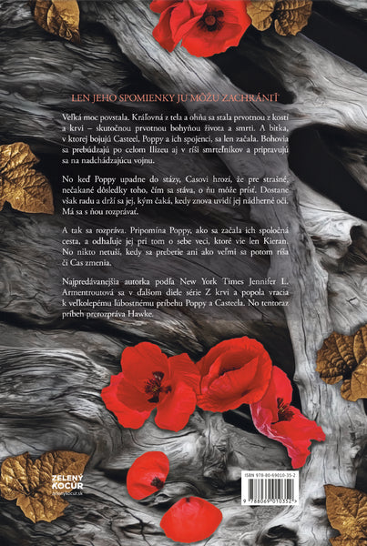 Duša z popola a krvi - 5. KNIHA ZO SÉRIE „Z KRVI A POPOLA“